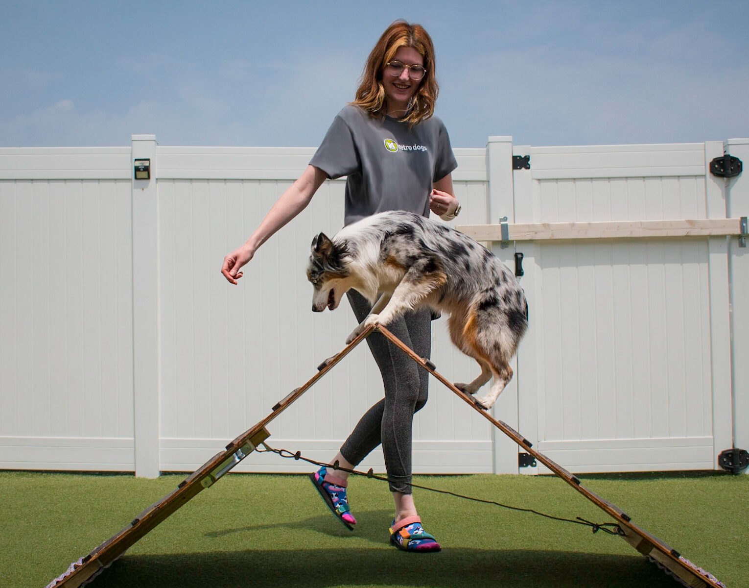 Beth guides Remi a Mini Aussie over the A-Frame agility equipment in our outdoor play yard.