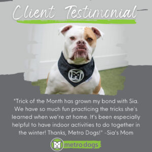 Client Testimonial "Trick of the Month has grown my bond with Sia. We have so much fun practicing the tricks she's learned when we're at home. It's been especially helpful to have indoor activities to do together in the winter! Thanks, Metro Dogs!" -Sia's Mom