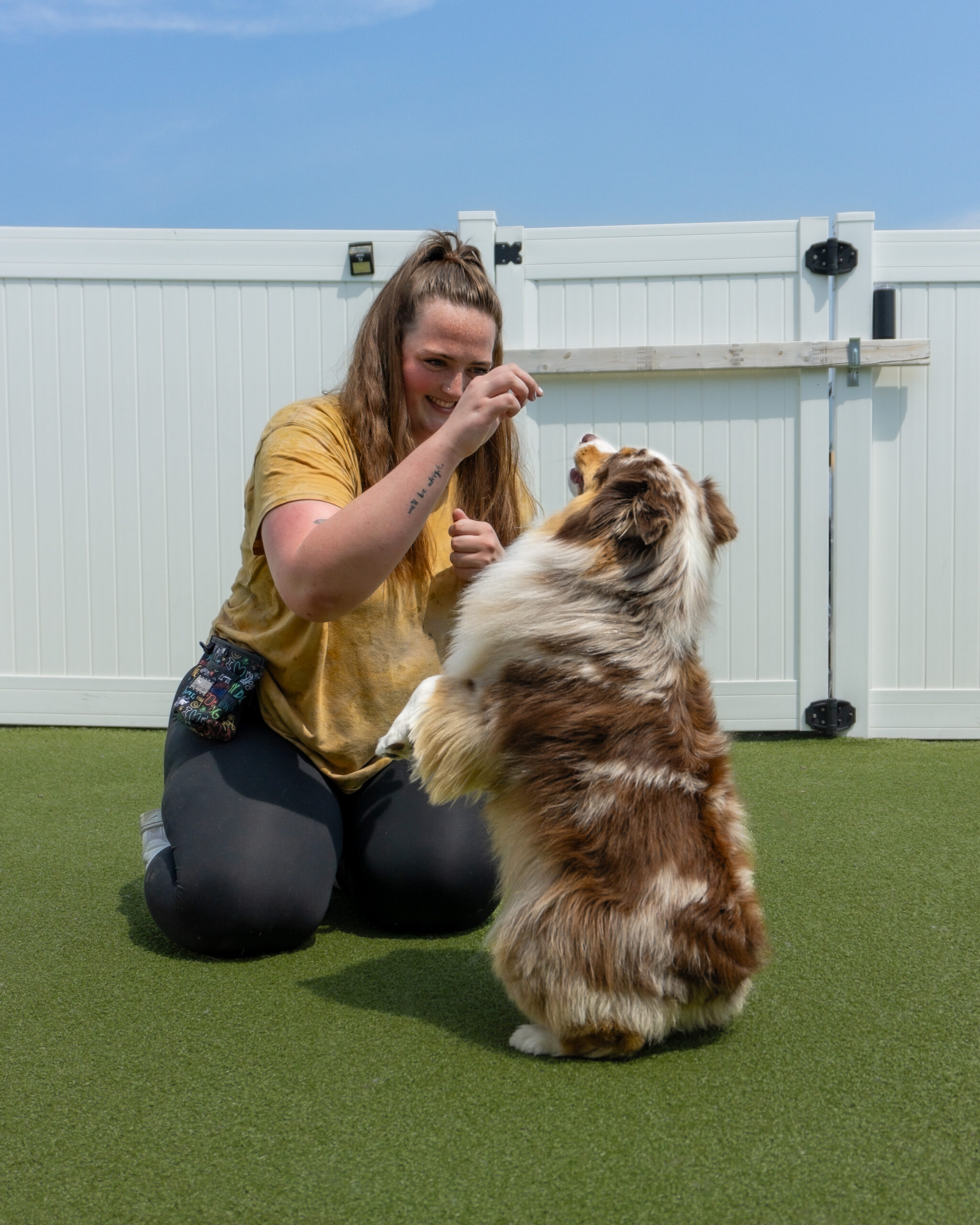 Beth, Metro Dogs daycare training, giving her Australian Shepherd Pete a high five in front if the Minneapolis Skyline.