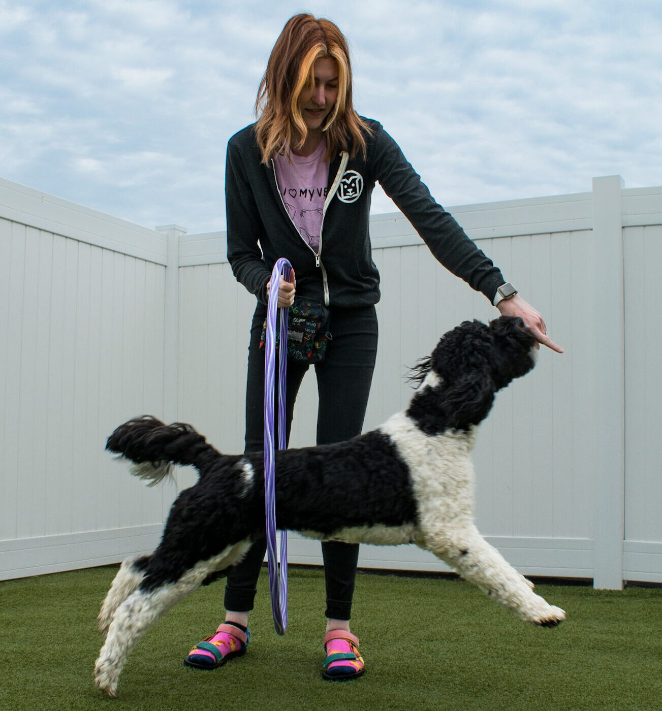 Beth guides Marni a Portuguese Water Dog through a hoop during a Trick of the Month session.